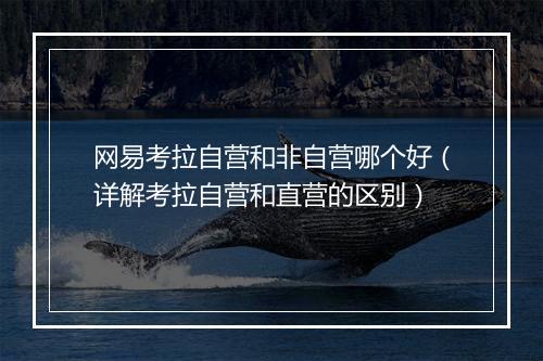 网易考拉自营和非自营哪个好（详解考拉自营和直营的区别）