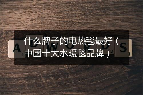 什么牌子的电热毯最好（中国十大水暖毯品牌）