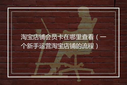 淘宝店铺会员卡在哪里查看（一个新手运营淘宝店铺的流程）