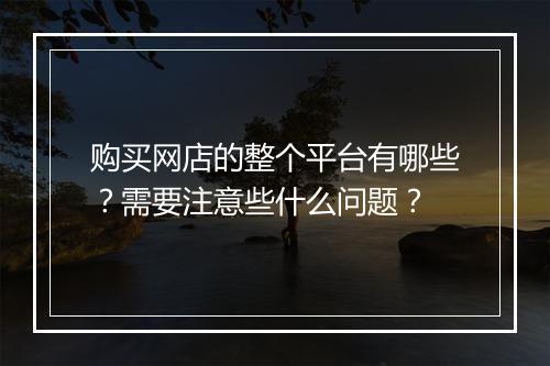 购买网店的整个平台有哪些？需要注意些什么问题？