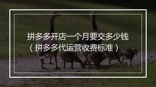 拼多多开店一个月要交多少钱（拼多多代运营收费标准）