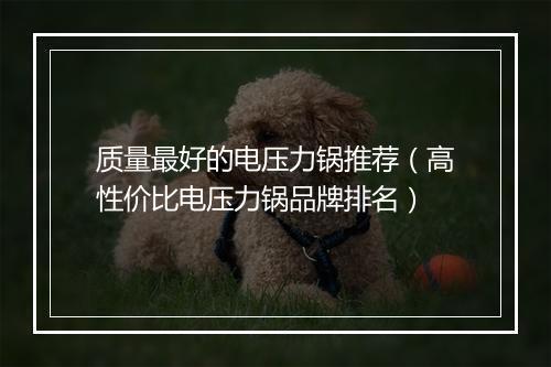质量最好的电压力锅推荐（高性价比电压力锅品牌排名）