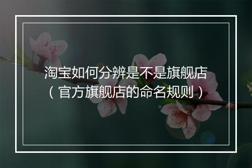 淘宝如何分辨是不是旗舰店（官方旗舰店的命名规则）