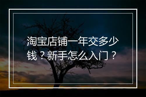 淘宝店铺一年交多少钱？新手怎么入门？
