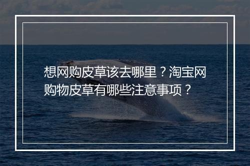 想网购皮草该去哪里？淘宝网购物皮草有哪些注意事项？