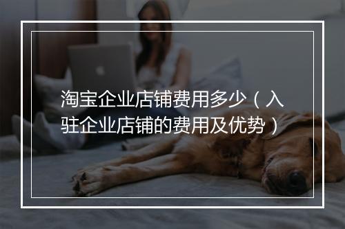 淘宝企业店铺费用多少（入驻企业店铺的费用及优势）