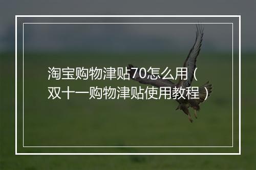 淘宝购物津贴70怎么用（双十一购物津贴使用教程）