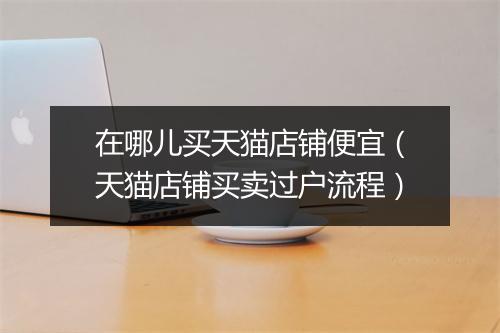 在哪儿买天猫店铺便宜（天猫店铺买卖过户流程）