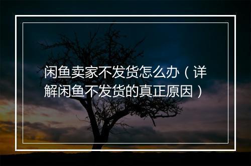 闲鱼卖家不发货怎么办（详解闲鱼不发货的真正原因）