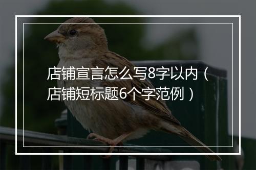 店铺宣言怎么写8字以内（店铺短标题6个字范例）