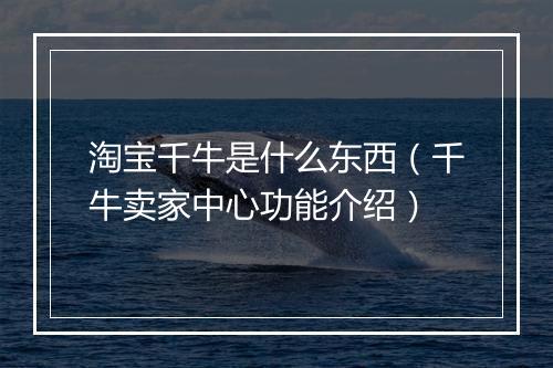 淘宝千牛是什么东西（千牛卖家中心功能介绍）