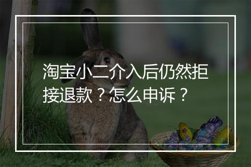 淘宝小二介入后仍然拒接退款？怎么申诉？