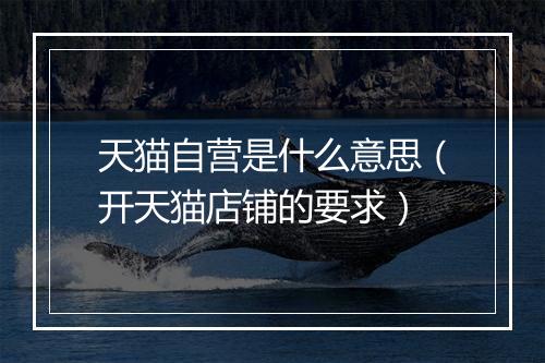 天猫自营是什么意思（开天猫店铺的要求）