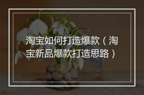 淘宝如何打造爆款（淘宝新品爆款打造思路）