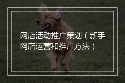 网店活动推广策划（新手网店运营和推广方法）