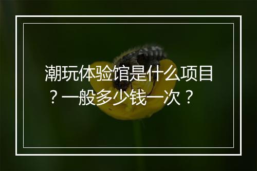 潮玩体验馆是什么项目？一般多少钱一次？