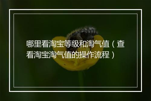 哪里看淘宝等级和淘气值（查看淘宝淘气值的操作流程）