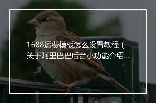 1688运费模板怎么设置教程（关于阿里巴巴后台小功能介绍）