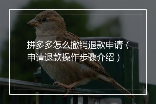 拼多多怎么撤销退款申请（申请退款操作步骤介绍）