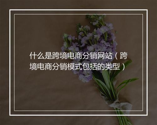 什么是跨境电商分销网站（跨境电商分销模式包括的类型）