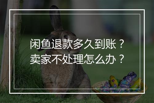 闲鱼退款多久到账？卖家不处理怎么办？