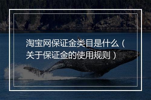 淘宝网保证金类目是什么（关于保证金的使用规则）