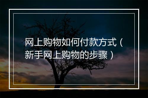 网上购物如何付款方式（新手网上购物的步骤）