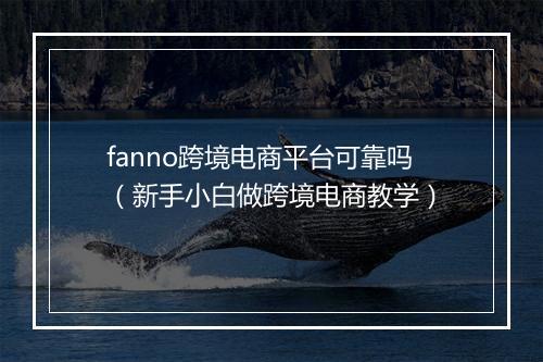 fanno跨境电商平台可靠吗（新手小白做跨境电商教学）