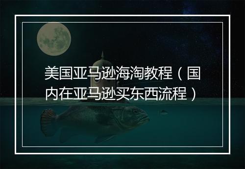 美国亚马逊海淘教程（国内在亚马逊买东西流程）