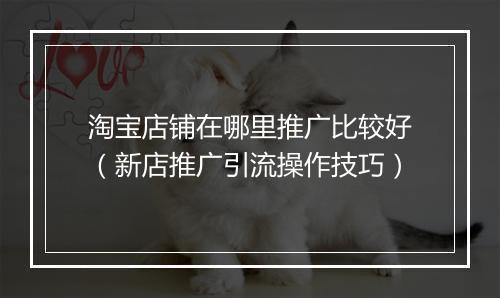 淘宝店铺在哪里推广比较好（新店推广引流操作技巧）