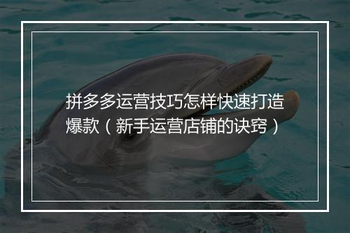 拼多多运营技巧怎样快速打造爆款（新手运营店铺的诀窍）