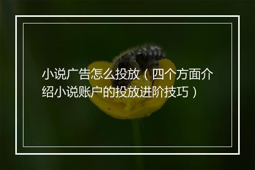 小说广告怎么投放（四个方面介绍小说账户的投放进阶技巧）