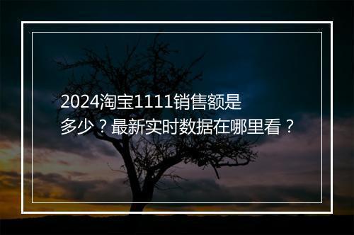2024淘宝1111销售额是多少？最新实时数据在哪里看？