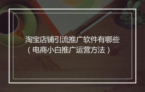 淘宝店铺引流推广软件有哪些（电商小白推广运营方法）
