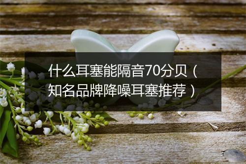 什么耳塞能隔音70分贝（知名品牌降噪耳塞推荐）