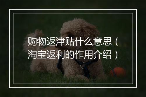 购物返津贴什么意思（淘宝返利的作用介绍）