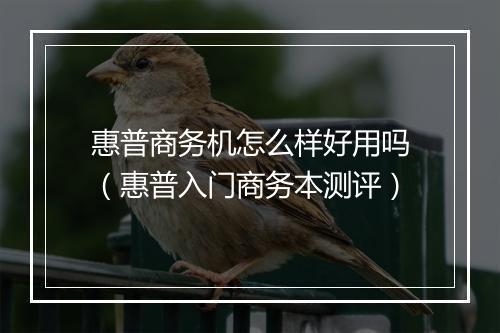 惠普商务机怎么样好用吗（惠普入门商务本测评）