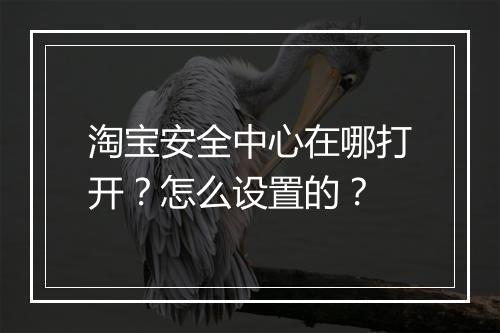 淘宝安全中心在哪打开？怎么设置的？