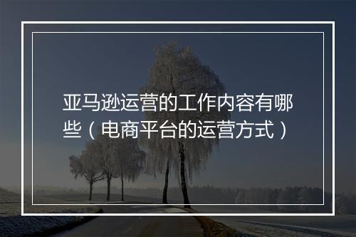 亚马逊运营的工作内容有哪些（电商平台的运营方式）