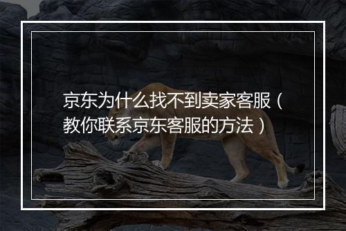 京东为什么找不到卖家客服（教你联系京东客服的方法）