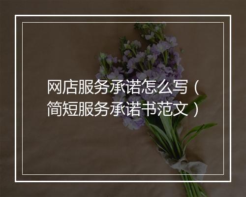 网店服务承诺怎么写（简短服务承诺书范文）