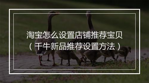 淘宝怎么设置店铺推荐宝贝（千牛新品推荐设置方法）