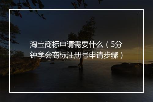 淘宝商标申请需要什么（5分钟学会商标注册号申请步骤）