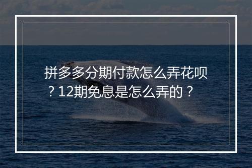 拼多多分期付款怎么弄花呗？12期免息是怎么弄的？