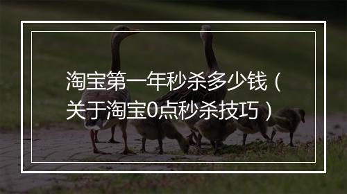 淘宝第一年秒杀多少钱（关于淘宝0点秒杀技巧）
