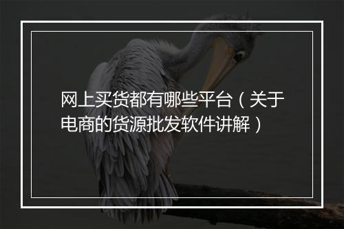 网上买货都有哪些平台（关于电商的货源批发软件讲解）