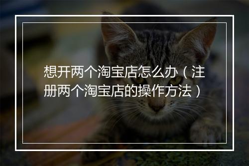 想开两个淘宝店怎么办（注册两个淘宝店的操作方法）
