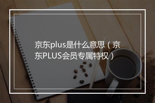 京东plus是什么意思（京东PLUS会员专属特权）