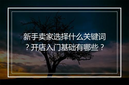 新手卖家选择什么关键词？开店入门基础有哪些？
