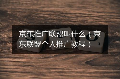京东推广联盟叫什么（京东联盟个人推广教程）